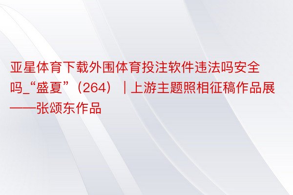 亚星体育下载外围体育投注软件违法吗安全吗_“盛夏”（264） | 上游主题照相征稿作品展——张颂东作品