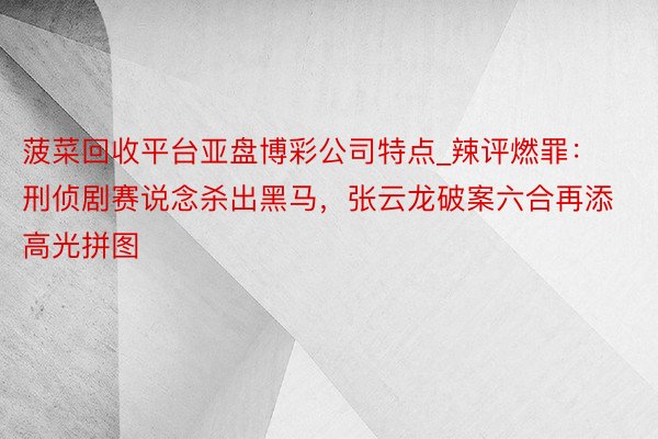 菠菜回收平台亚盘博彩公司特点_辣评燃罪：刑侦剧赛说念杀出黑马，张云龙破案六合再添高光拼图