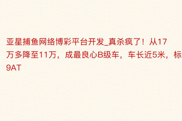 亚星捕鱼网络博彩平台开发_真杀疯了！从17万多降至11万，成最良心B级车，车长近5米，标配9AT